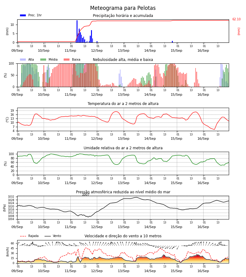 Meteograma WRF para Pelotas, produto gráfico de previsão do SIMAGRO RS